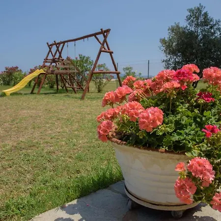 Ilyos * إيريسوس